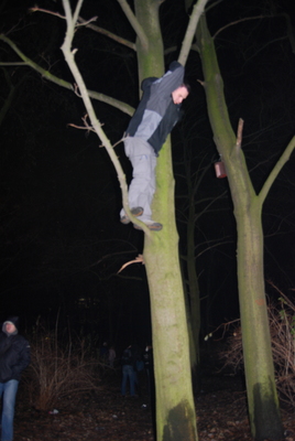 Baum